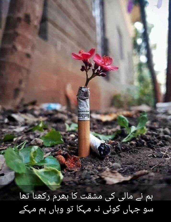 Don't Smoke