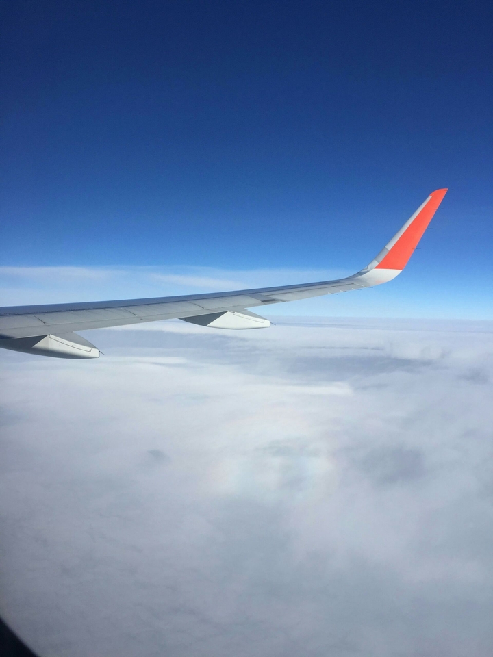 airplane wing