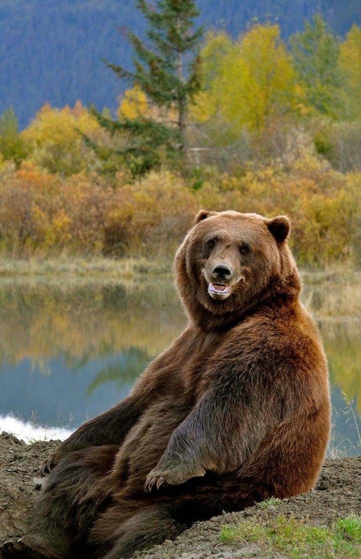 Kamchatka