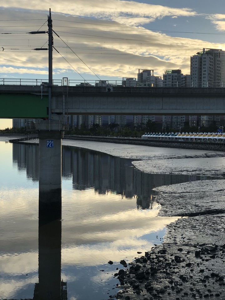 foreshore