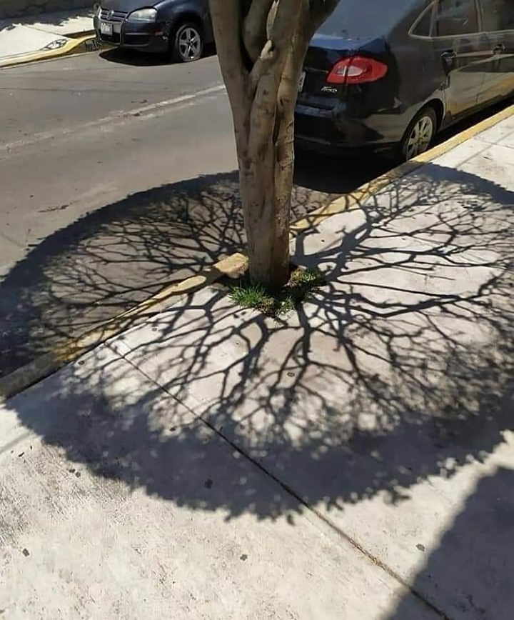 ?