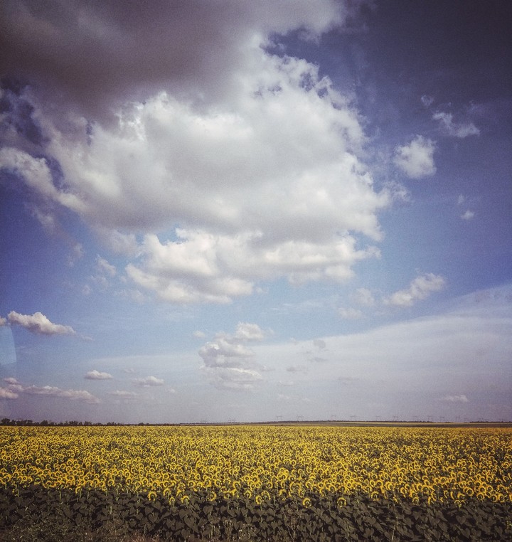 Ukraine,Kirovograd region