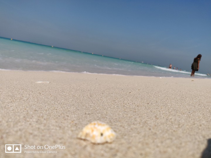 sea