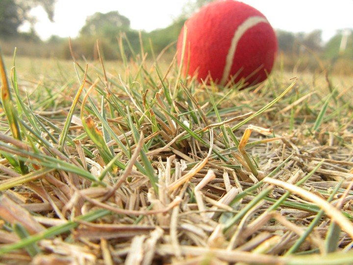 grass wallpaper kanpur shoot by priyesh