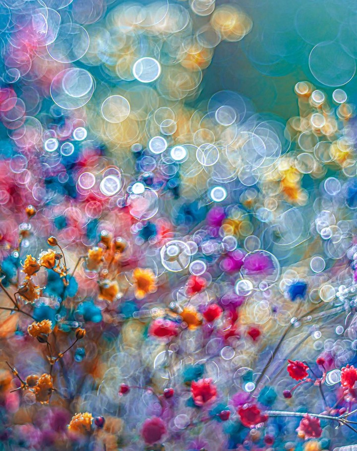 Bokeh