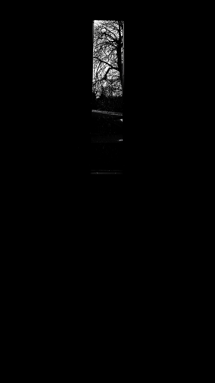 Dark Days