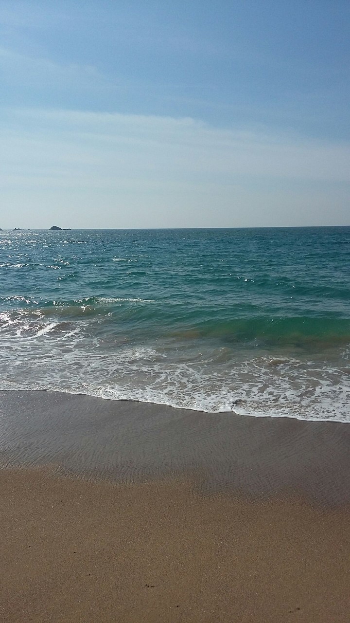 barra de navidad