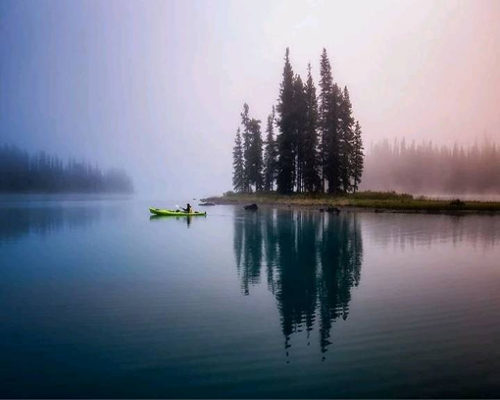 Nature