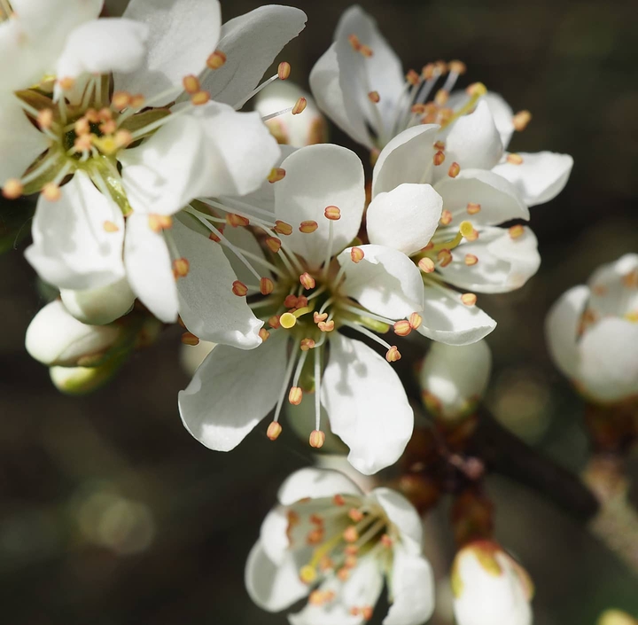 Spring is here