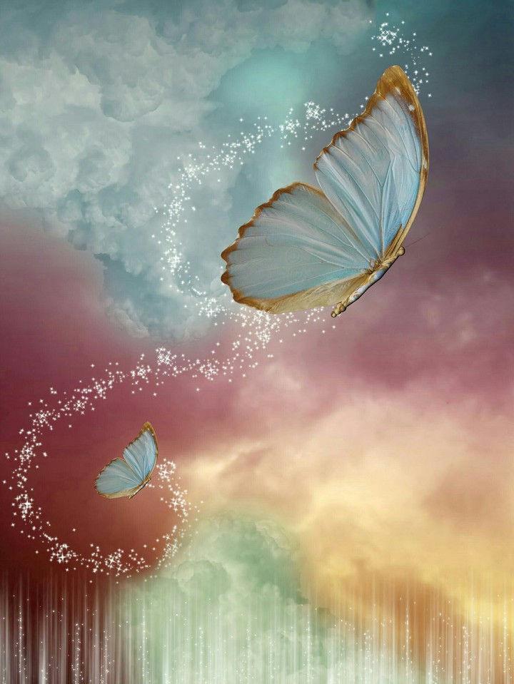 farfalle nel cielo