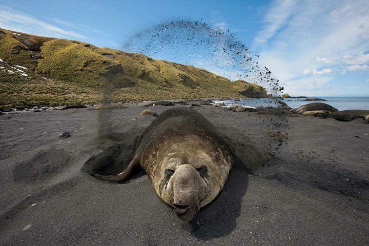 timing