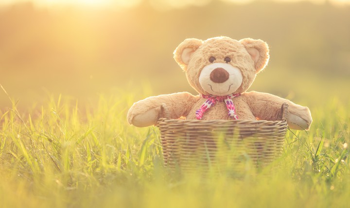 ❤️... Teddy...❤️
