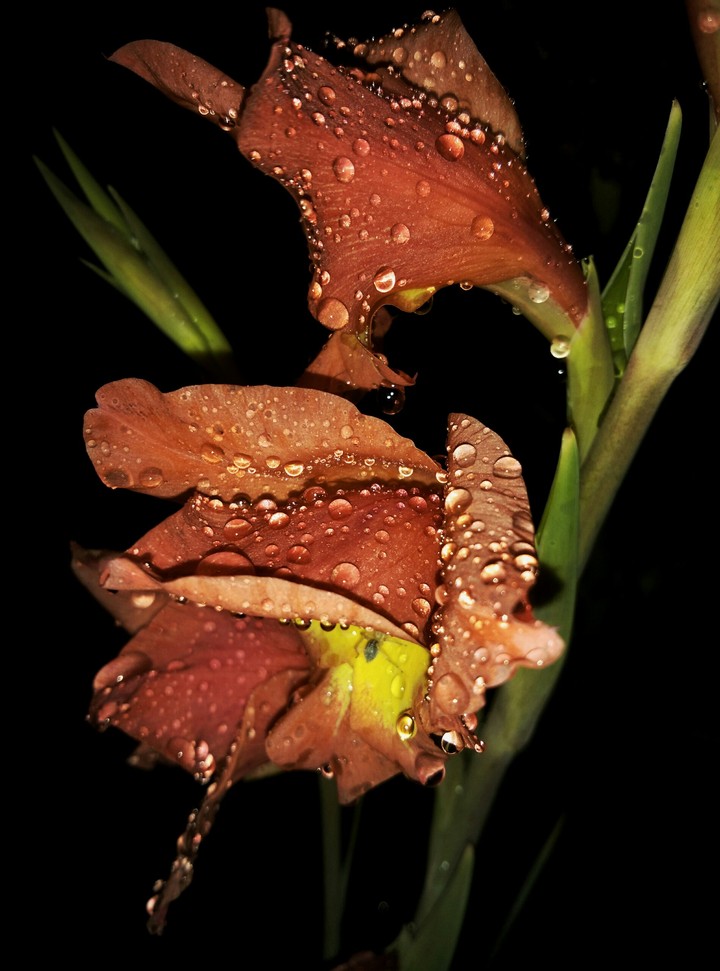 night is dark but that's when things become clear.....!!