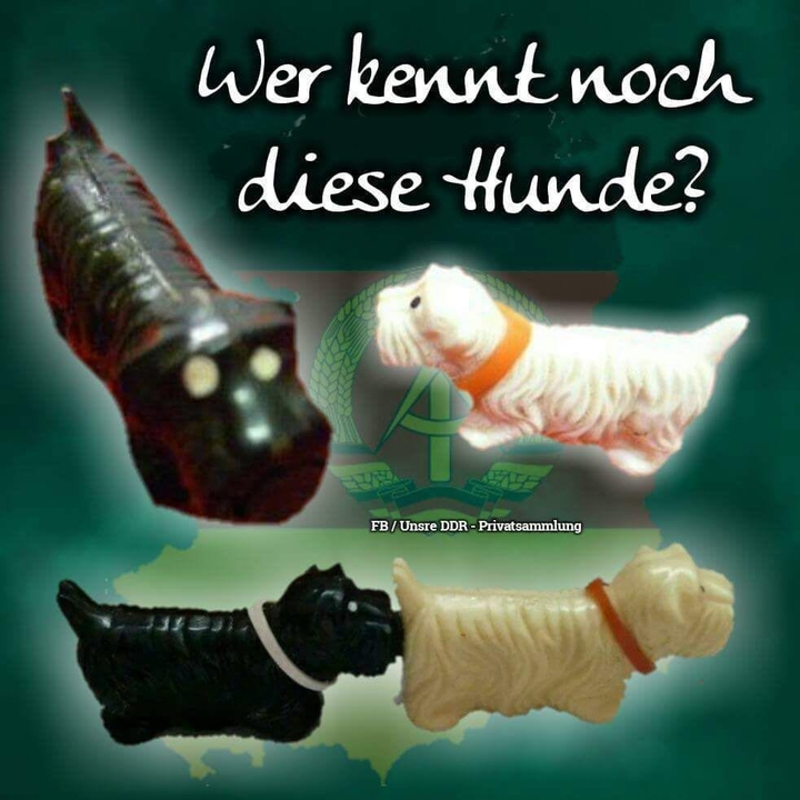 wau
