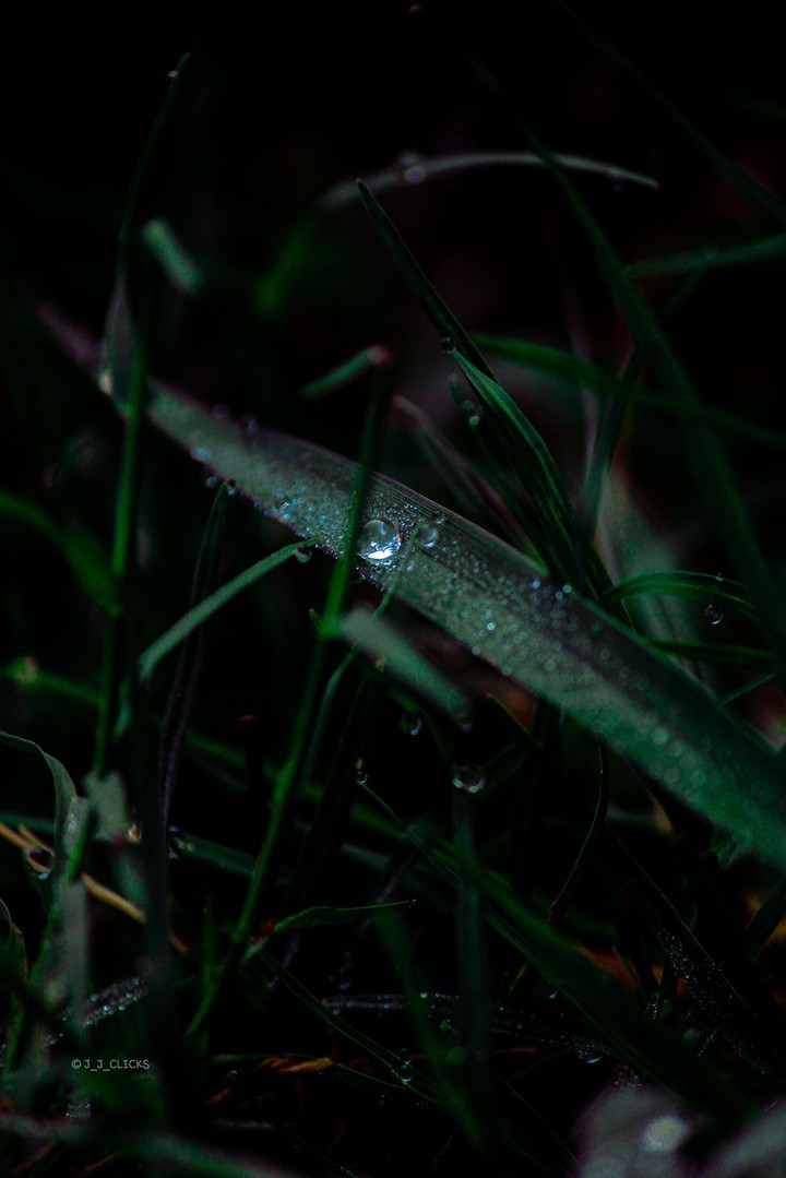 winter morning click.