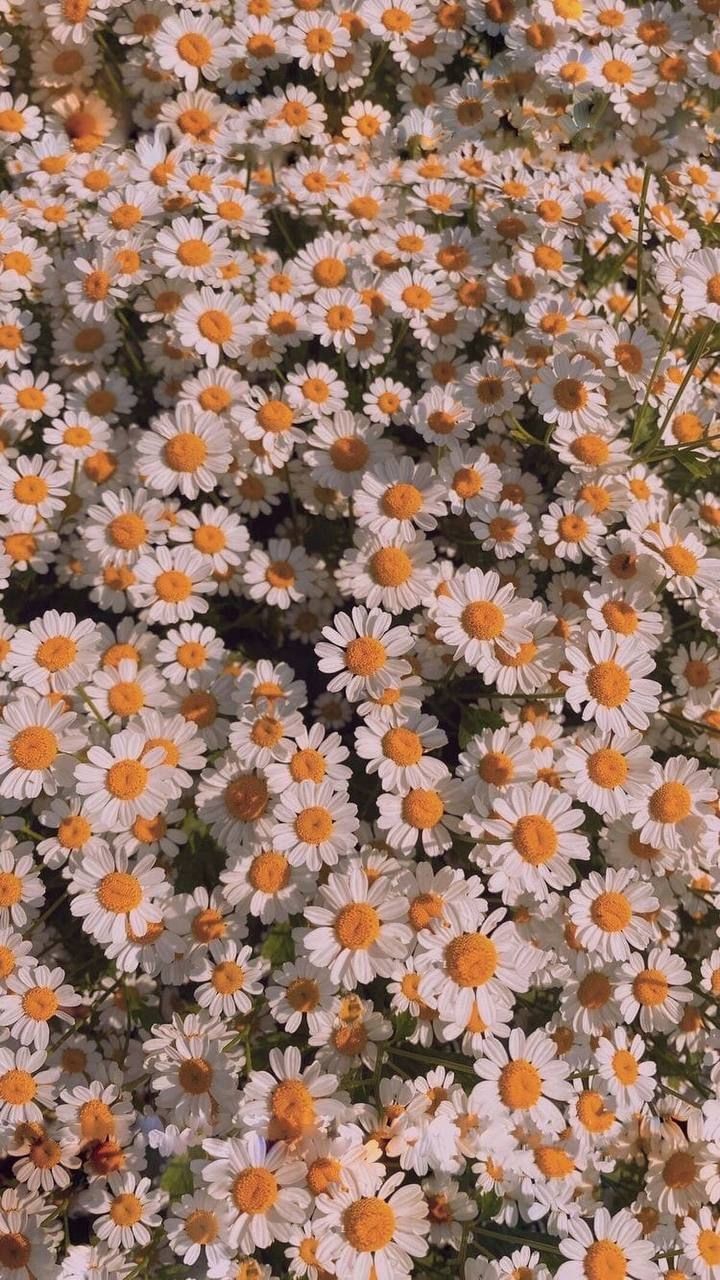 《°◇°~♡~°◇°》