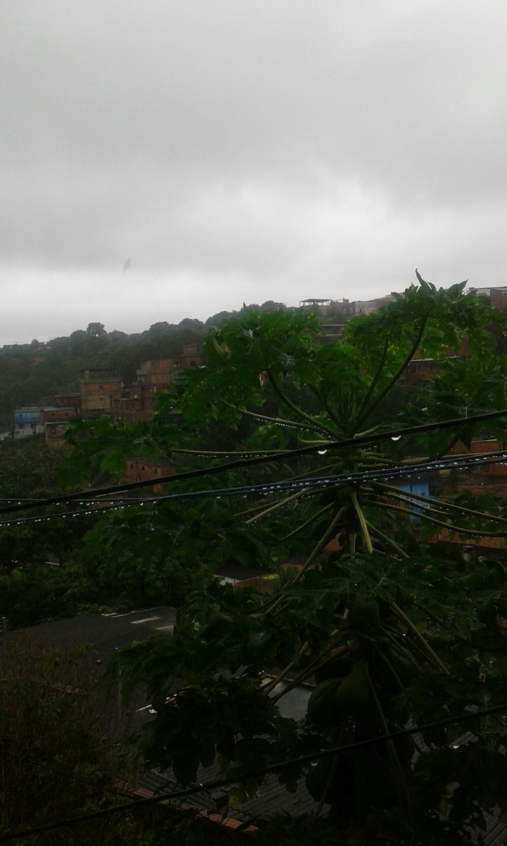 chuva 