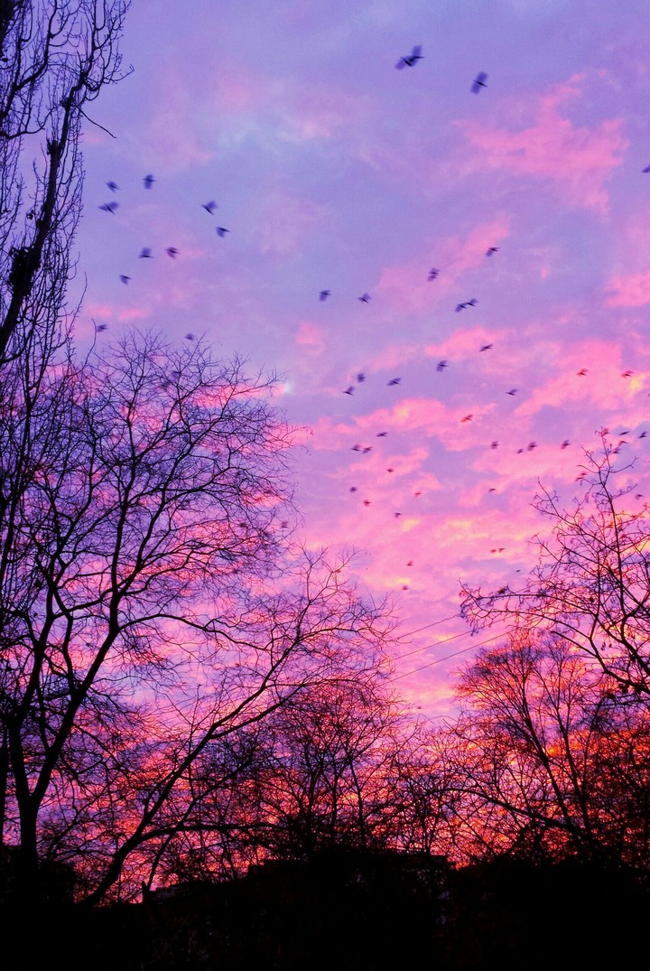 sunset