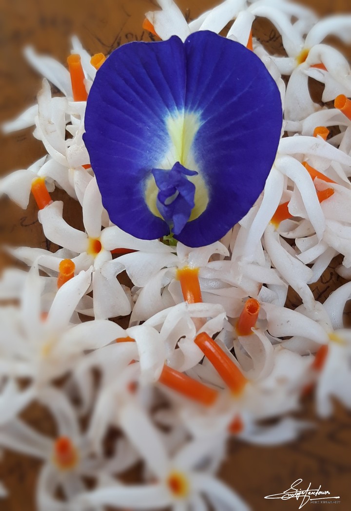 Aparajita