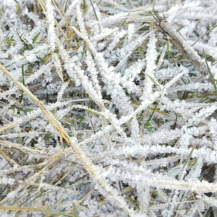 frost