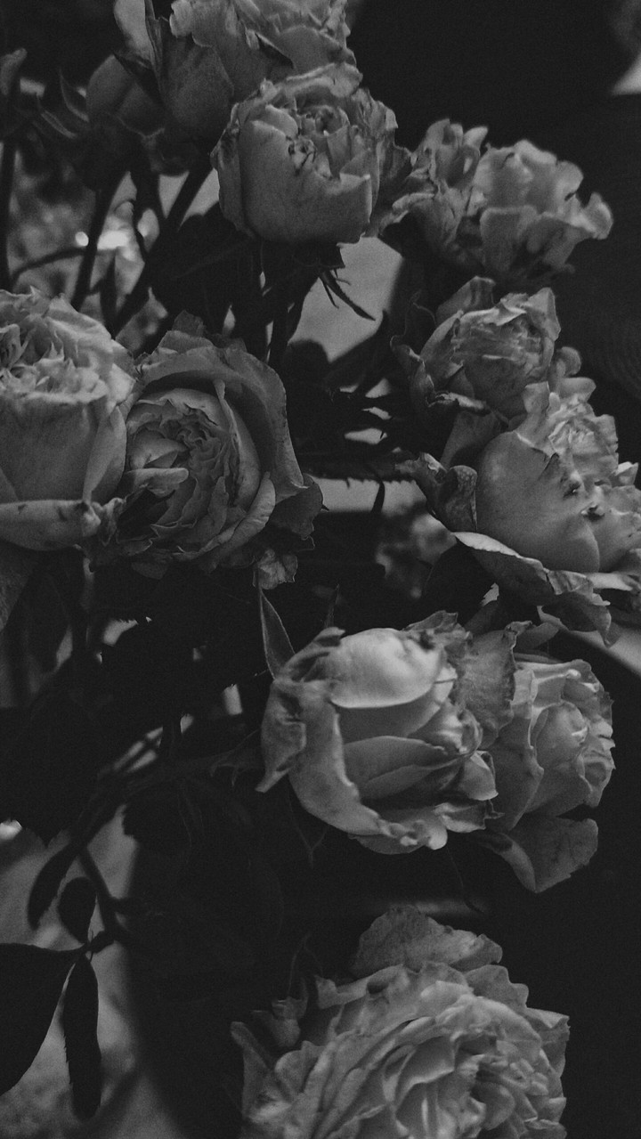 roses