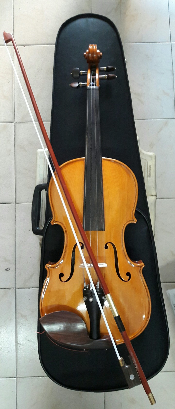violin