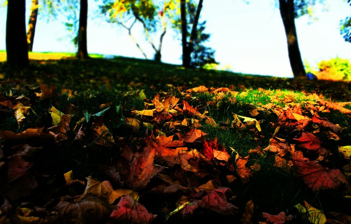 Sweet autumn