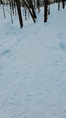 Snowshoeing