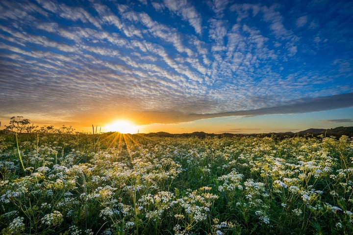 Nature's Beauty