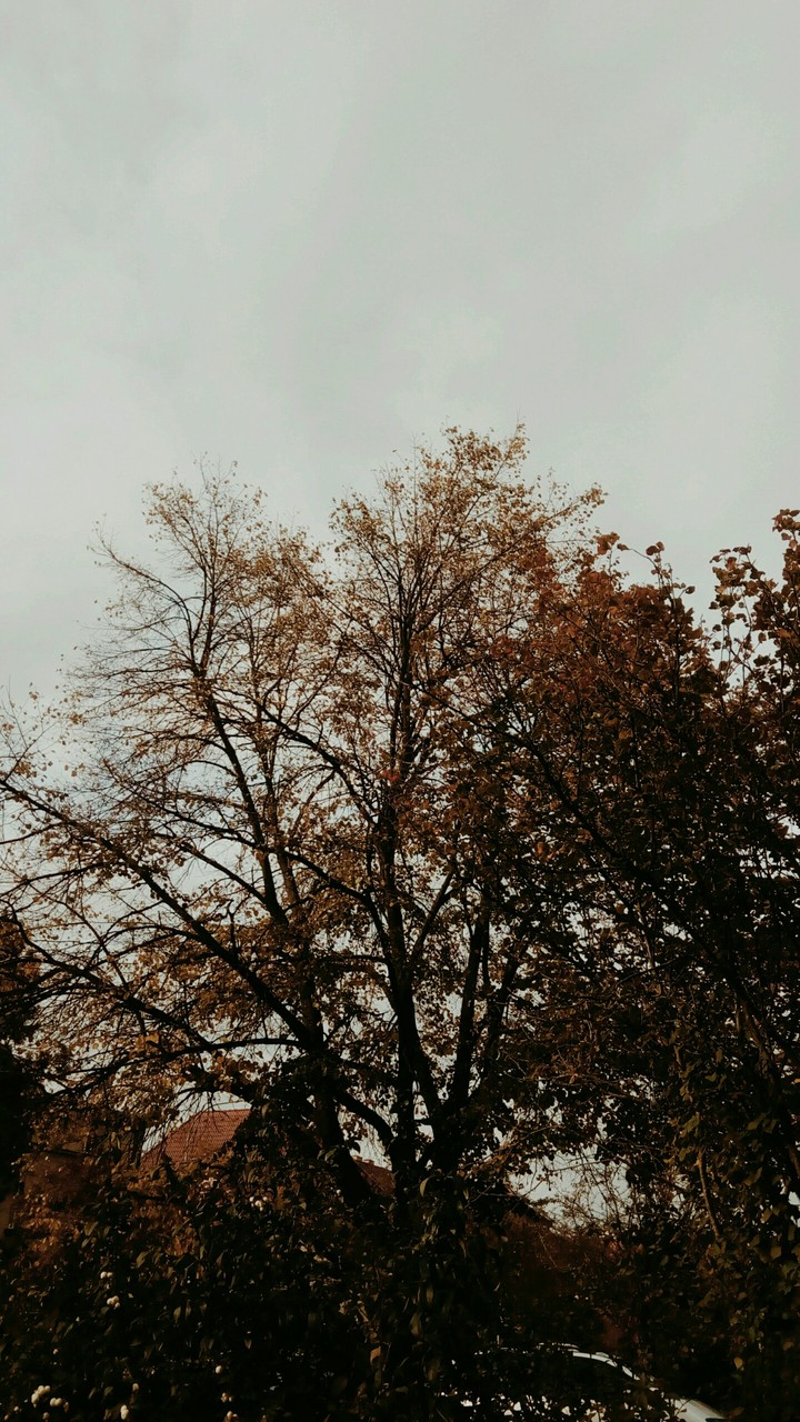 podzim