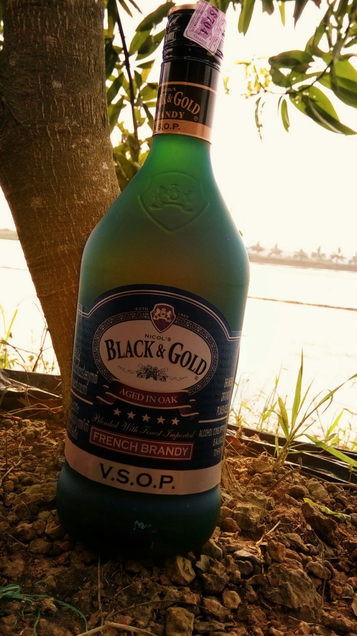 BLACK & GOLD