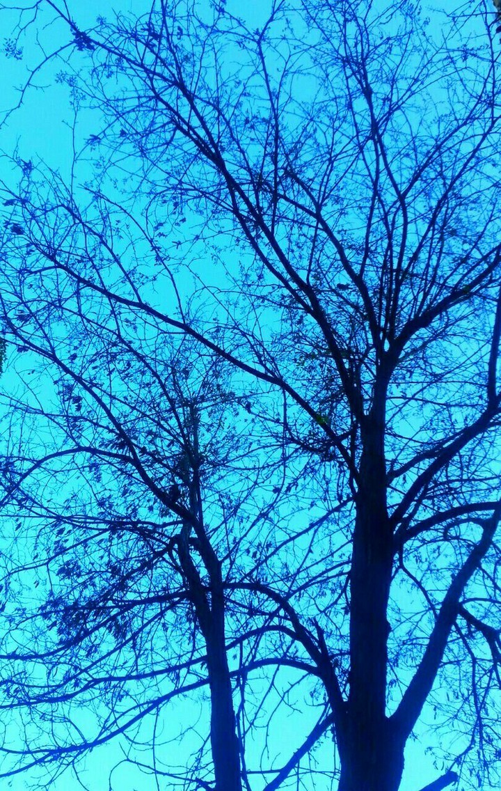 frozen glance