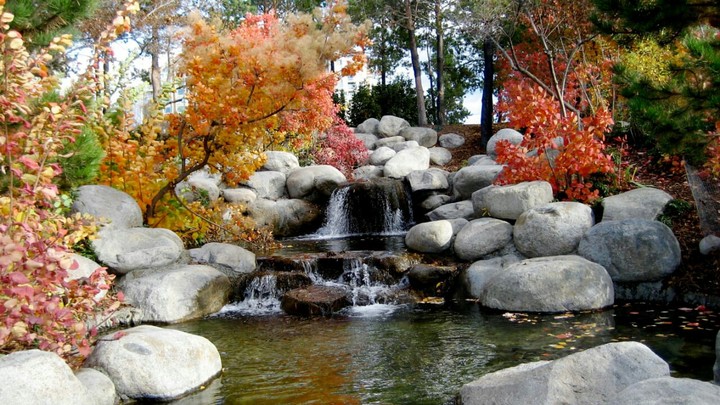 beauty of nature