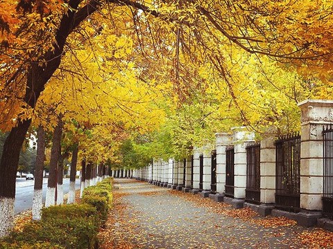 Golden October