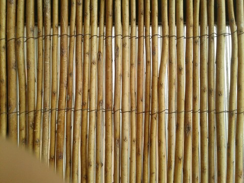des petites branches