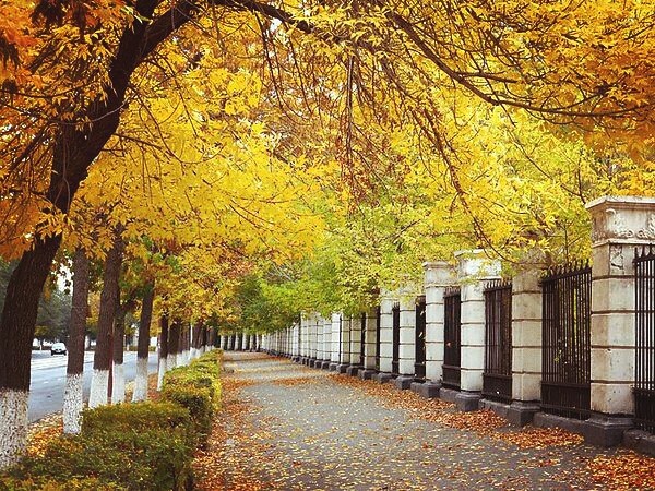 Golden October