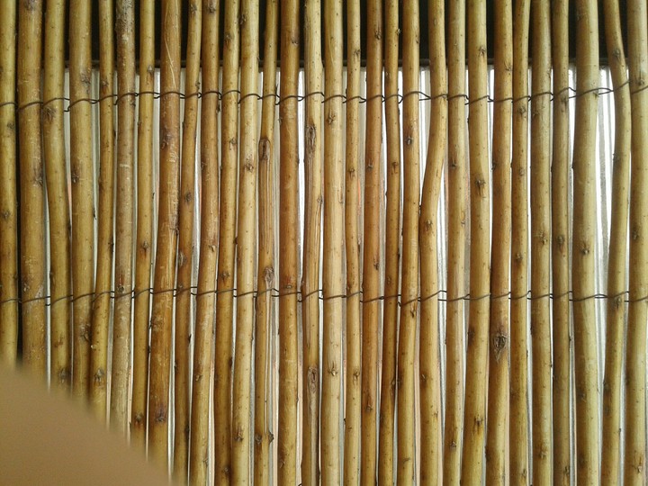 des petites branches