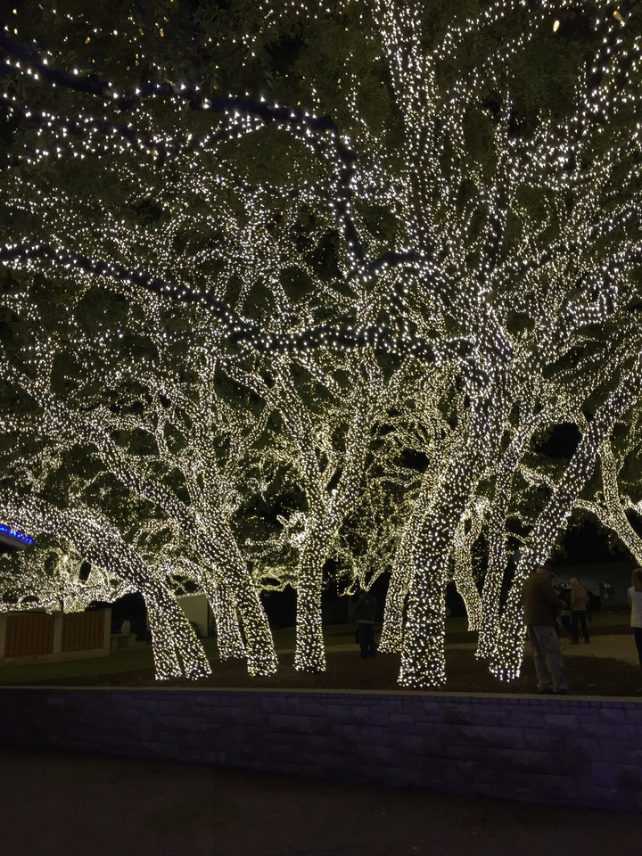 Christmas Lights