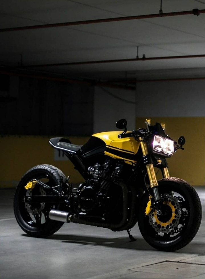 dynamic bikes