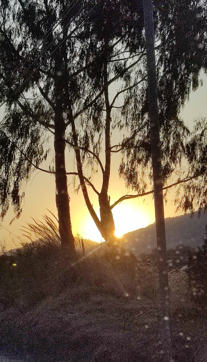 escondido