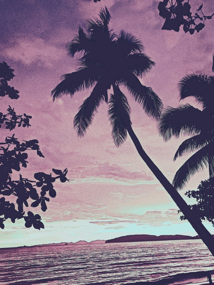 Paradise