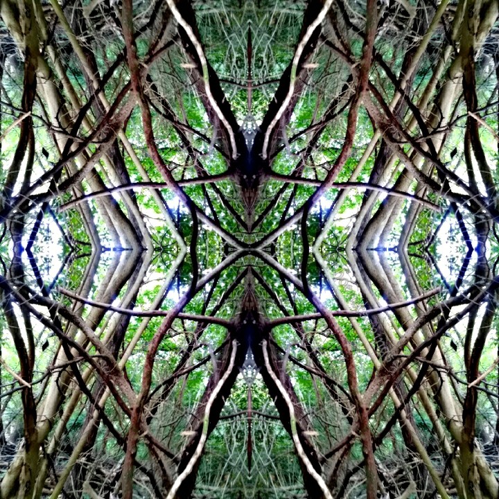 Devil's Horns