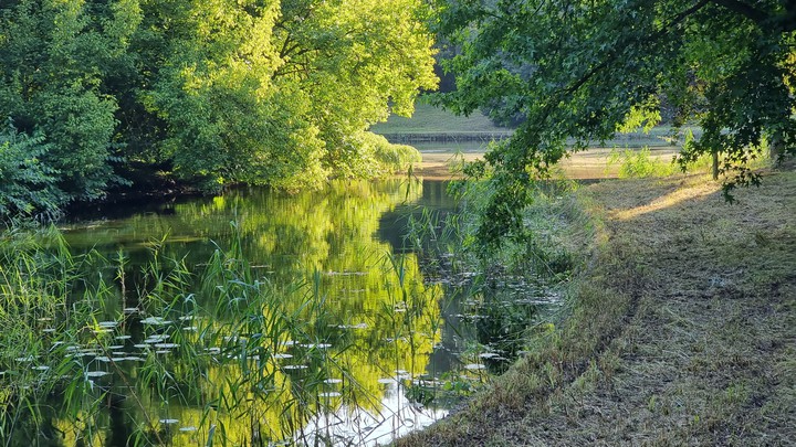 Nature color