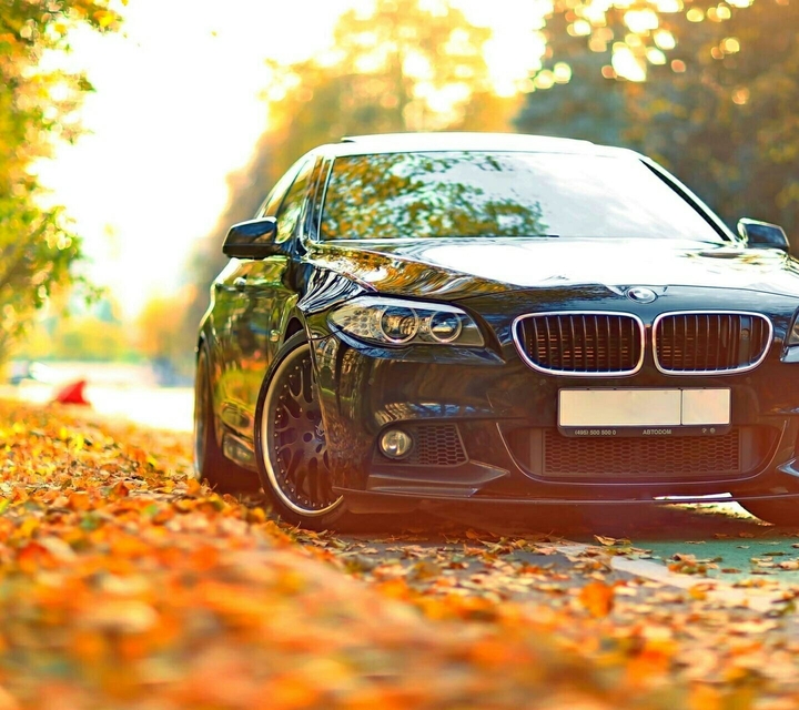 BMW M6