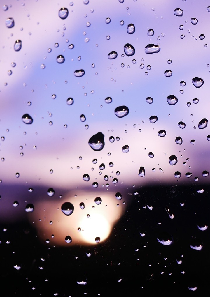 Rain