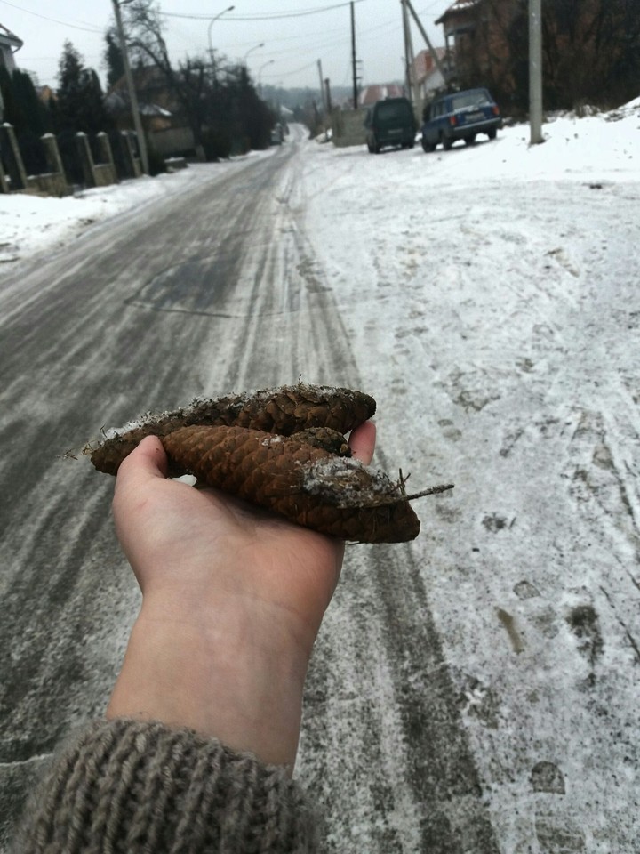 Winter walks...
