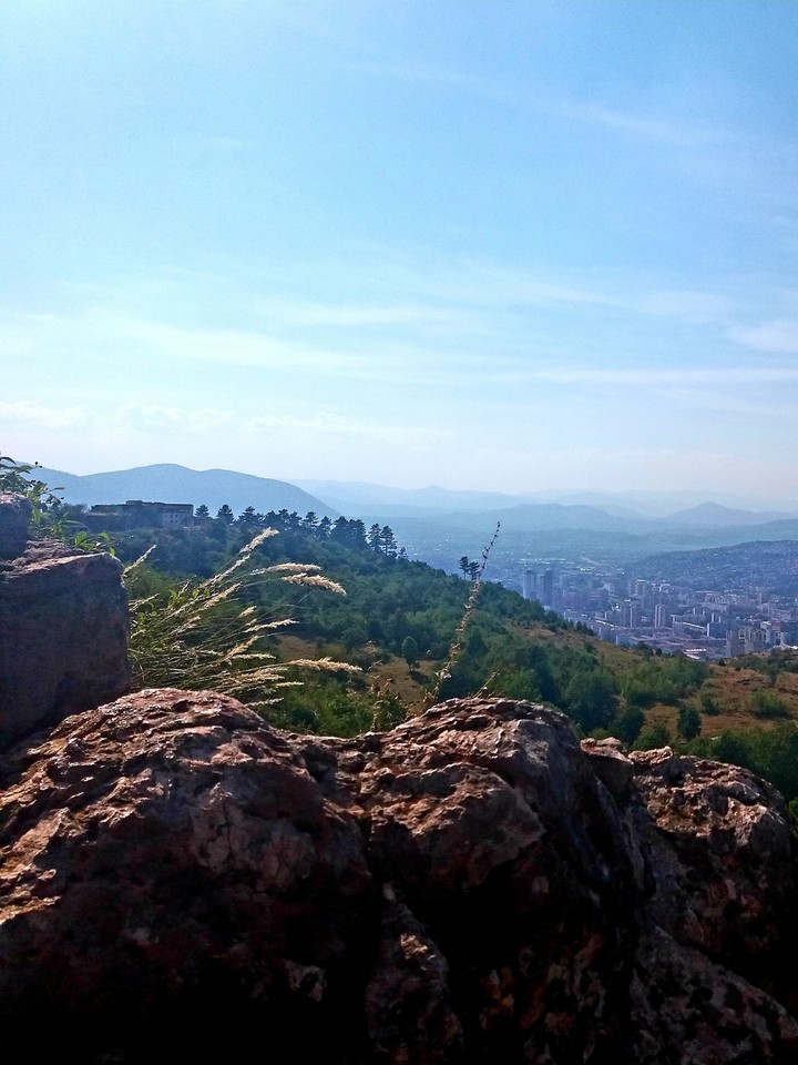 View