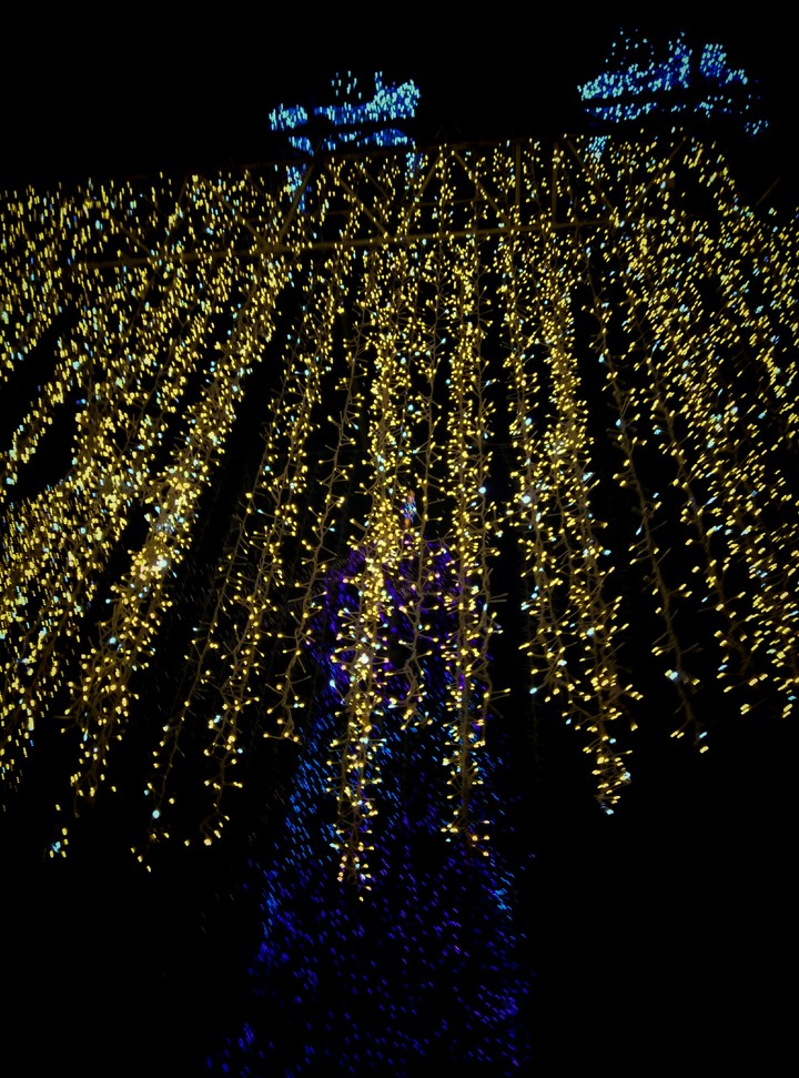 Lights