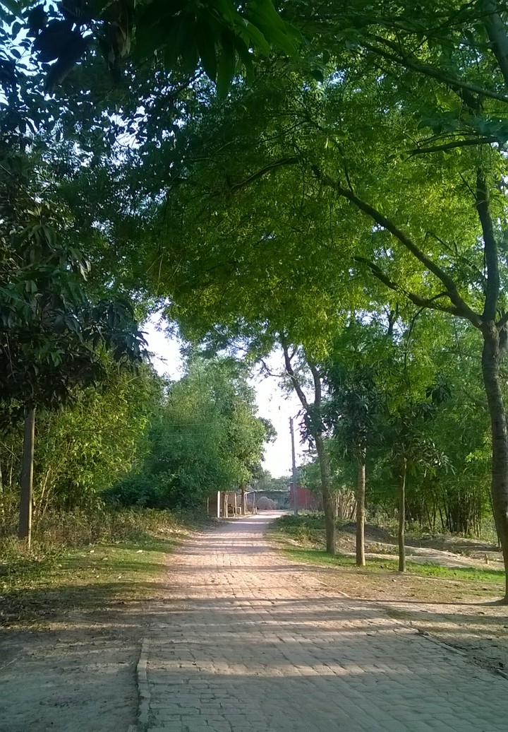 Road