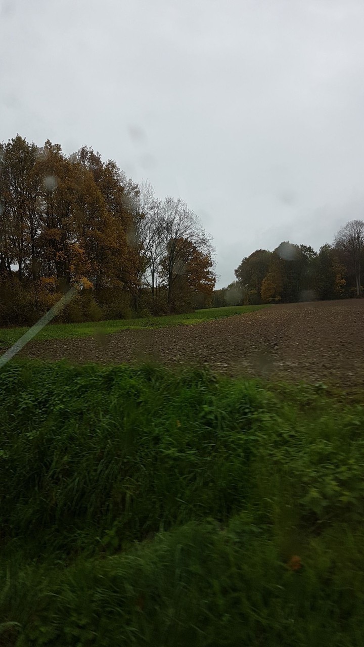 nature